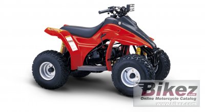 2009 Hyosung TE 100R photo